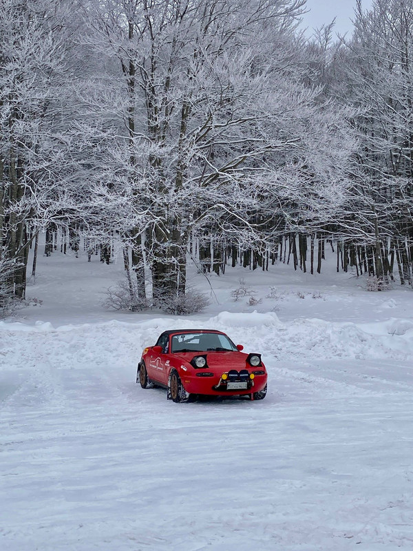 [Immagine: 6037361685074480310.jpg]