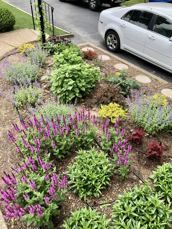 A736B517-B726-4661-9000-B67B5B97863A