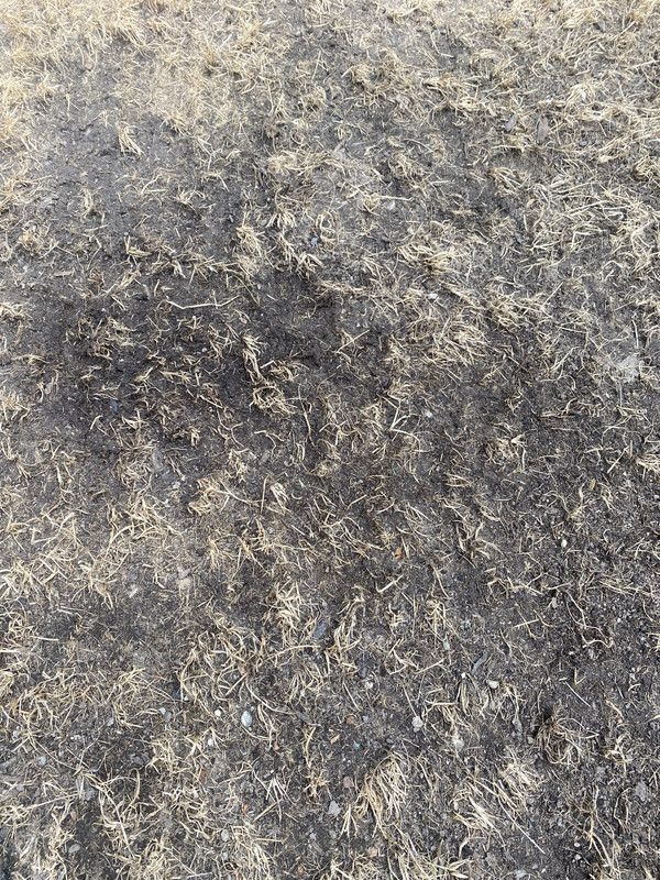 F422AE5C-D47B-41F2-9C3E-7BC0FEA36396