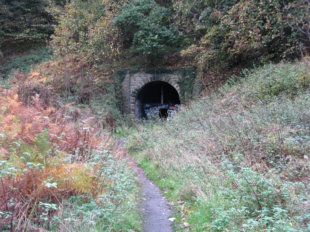 C981D934-E0FA-4D49-9336-BDC393C1EDD8