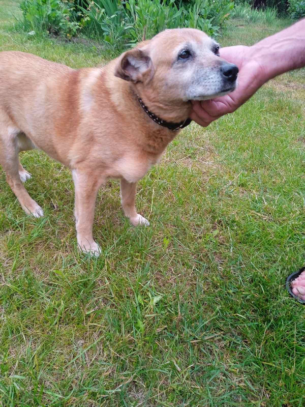 изображение_viber_2023-08-21_11-35-09-095