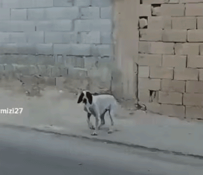 ezgif-1ec1b4701f229186.gif