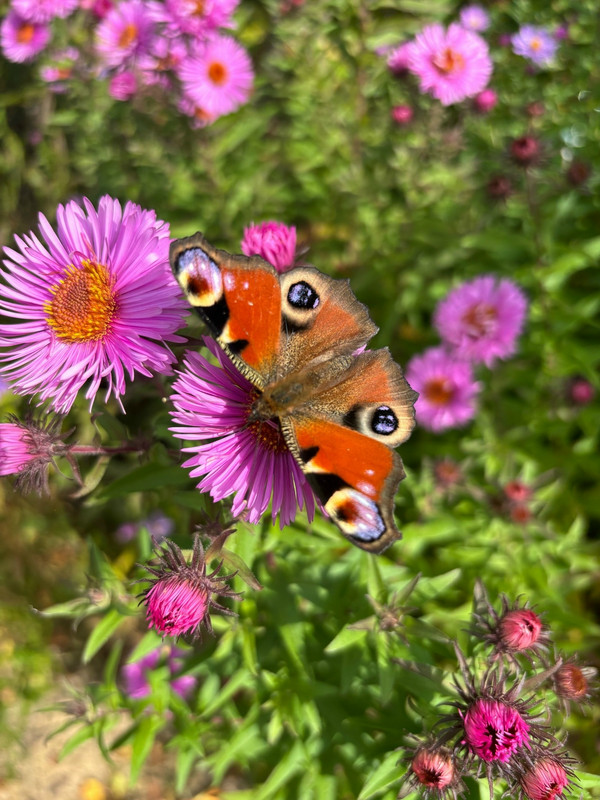 v E3If Gzc2i9p UHlr Qu Pj ZVje SEn BYmp Hxj Q3p0VODHNd XPLo W3Mfj MWUjzcov2YGBckgx Olaewm7fs4TLAb Qk