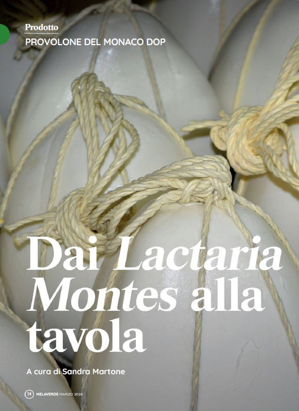 melaverde Mar 2024 (1)