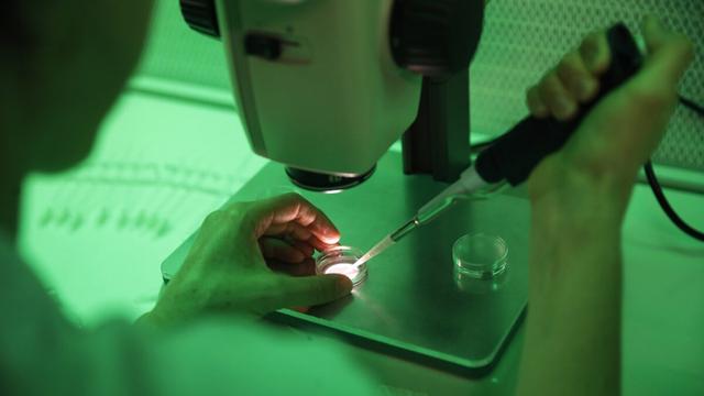 sperm fertilise 1200x675