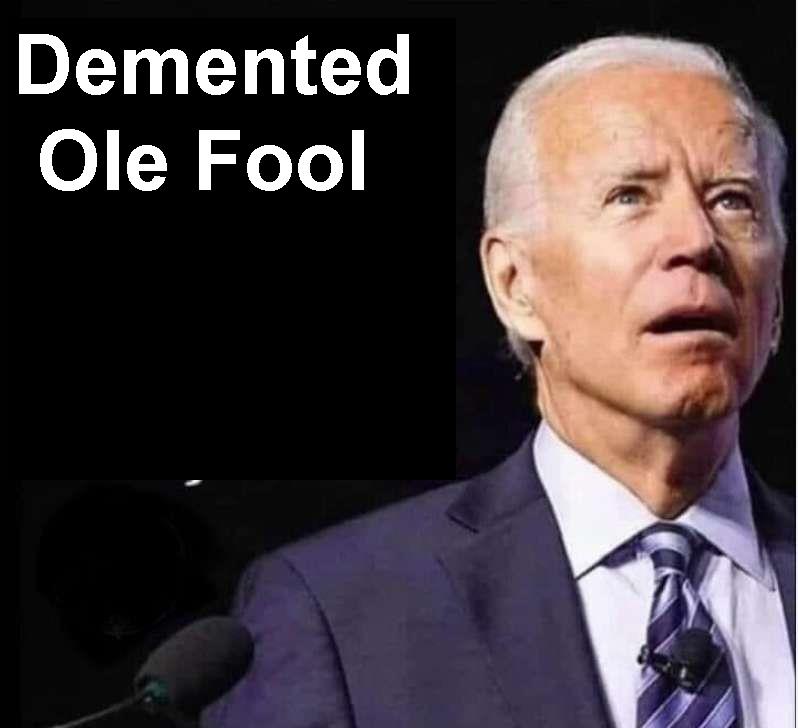 Biden 2020-3