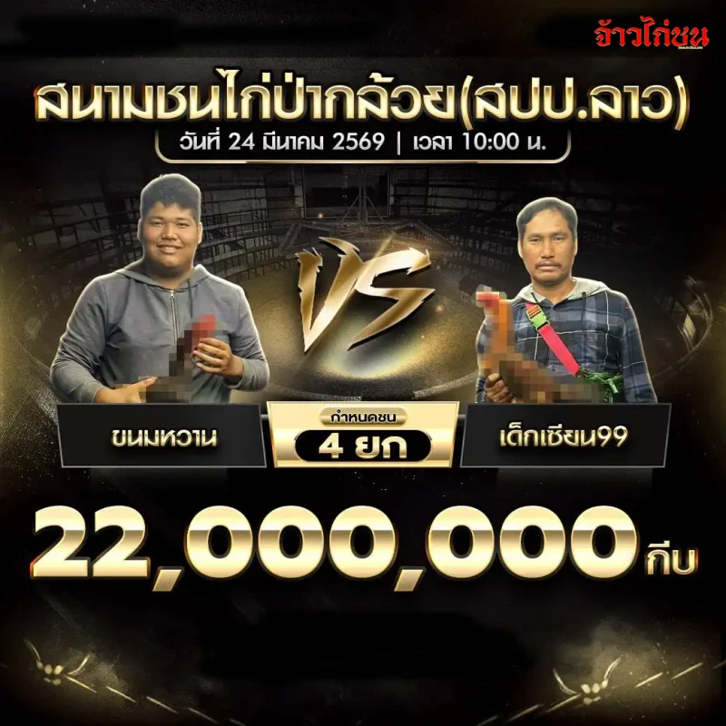 ขนมหวาน พบ เด็กเซียน99 โปรแกรมไก่ชน วันที่ 24 มีนาคม 2569