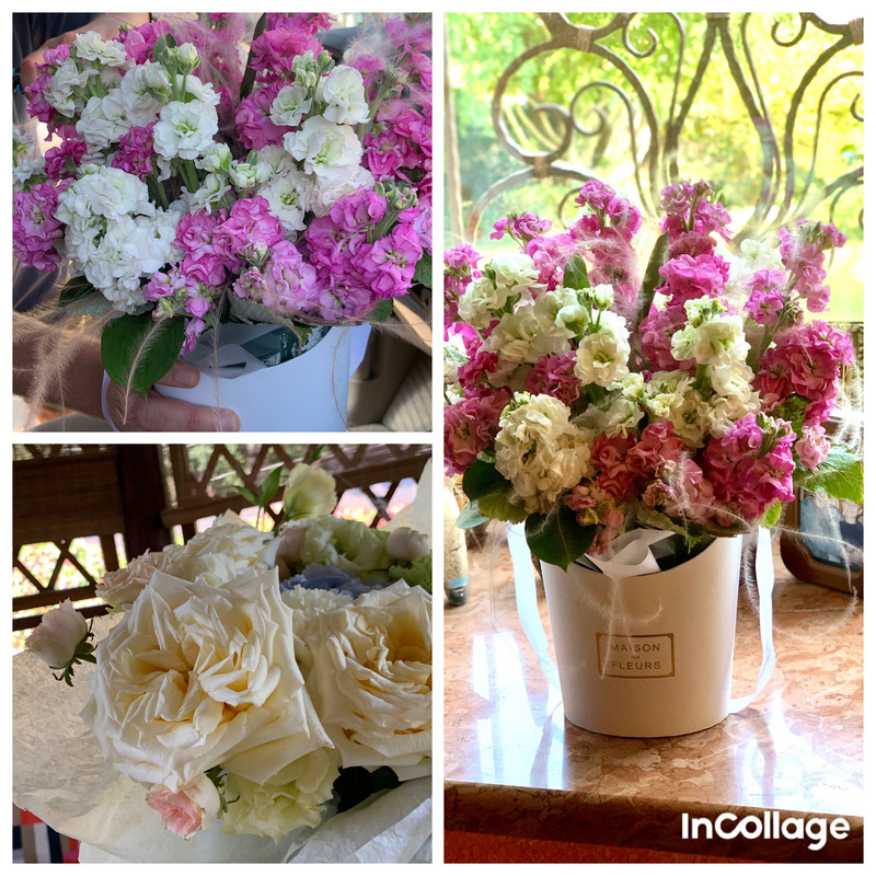 037FBEF4-8BFE-4499-8F6B-B6A3D31E2635