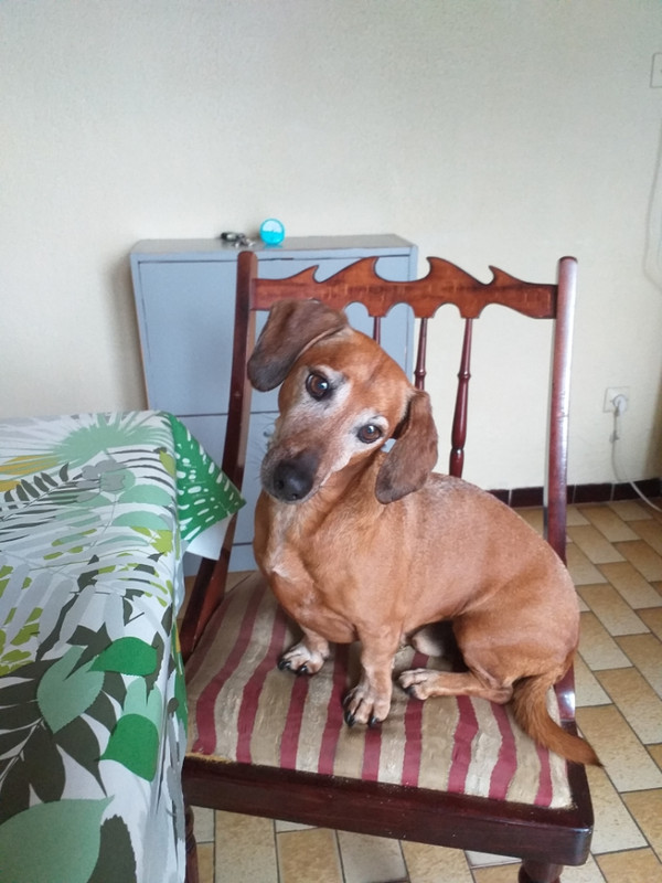 [Image: Resized-20190727-122346-1-1.jpg]