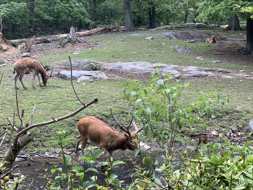 EB0B284E-95EA-4DEB-BBA0-5DC0BA5A775E