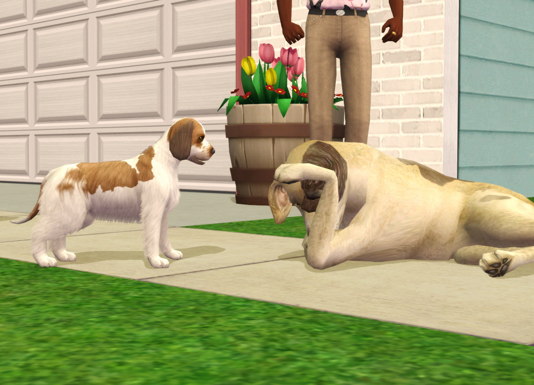 Sims2-EP9-RPC-2023-10-09-20-28-51-32