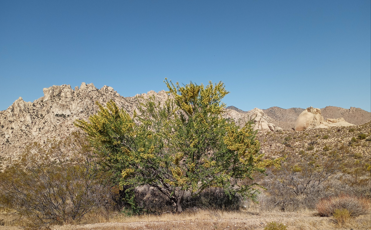 [Image: Death-Valley6.png]