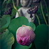 Icons-Neu-122