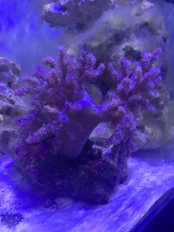 D511D0A5-B27F-41C6-8697-7EF88BBF8ADD