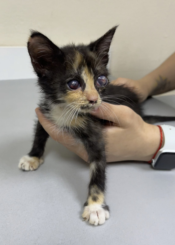 F0F23C3F-1480-4D98-AE9F-DD8A3F5D8657