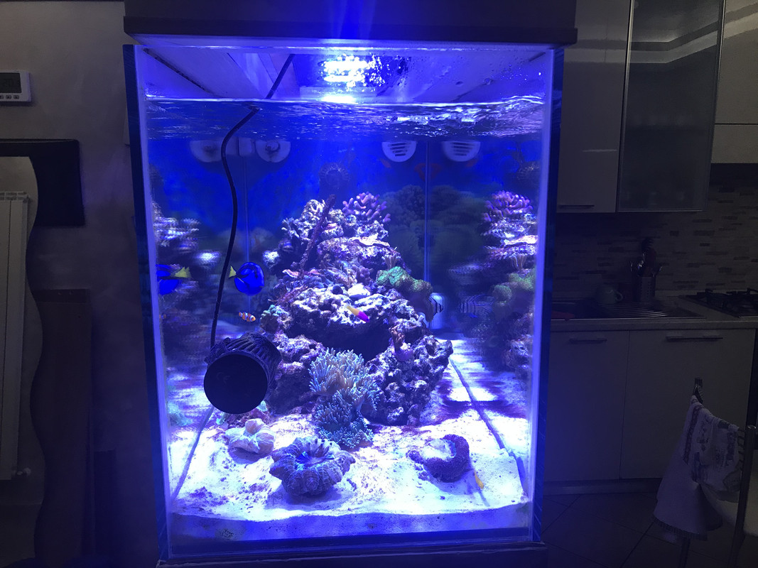 22EFA730-0A61-4317-8F92-3774F9BD3F92