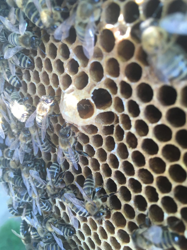 E234282B-442A-44C2-8354-57A312ADB229