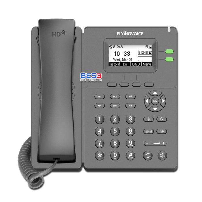IP Phone FlyingVoice P20