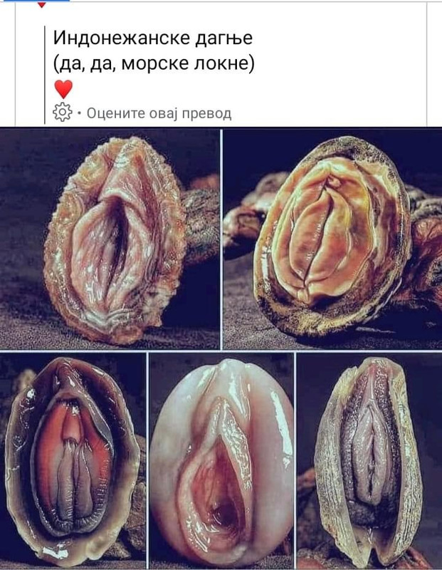 slika