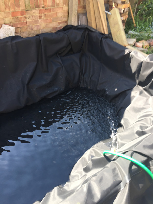 BE9D3AFE-3488-4DFD-AE10-8A14ADED445F