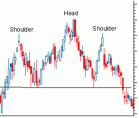 Pola-Head-and-Shoulder.png