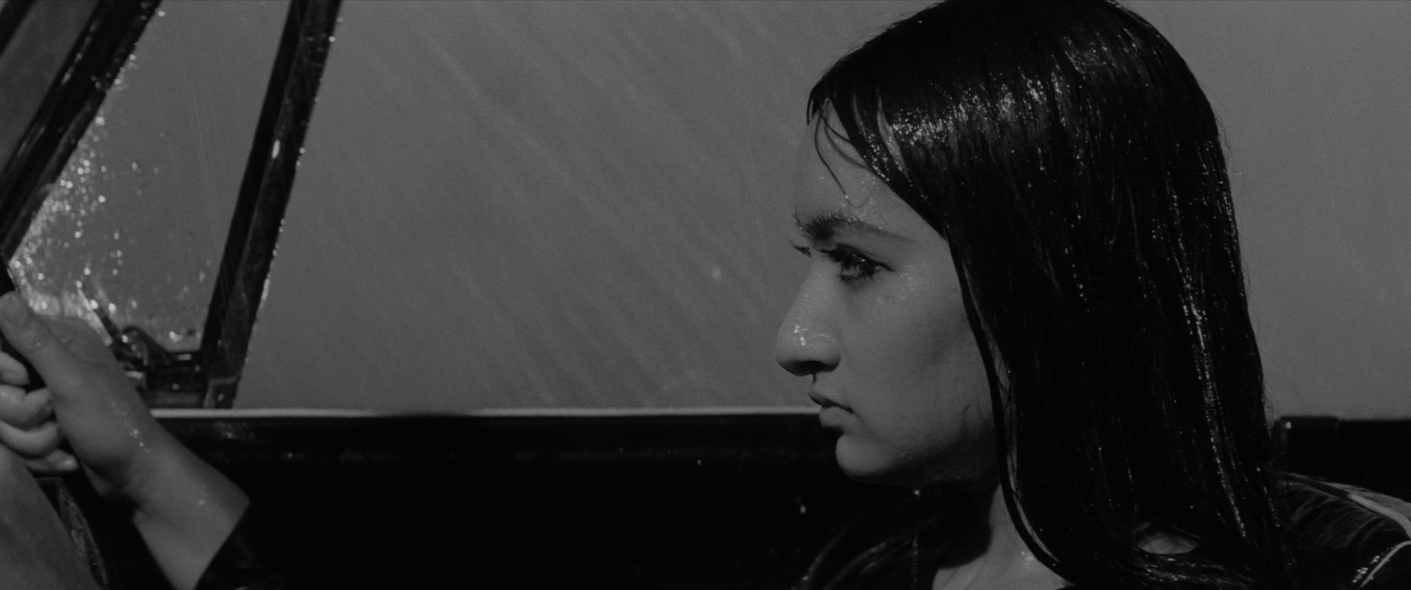 vlcsnap-2025-01-21-02h34m39s212