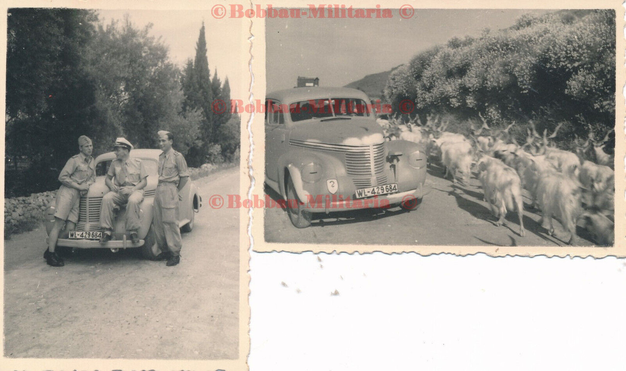 Italien Sizilien Catania 1942 ZG26 Soldaten mit dicker Opel Kapitän Limo