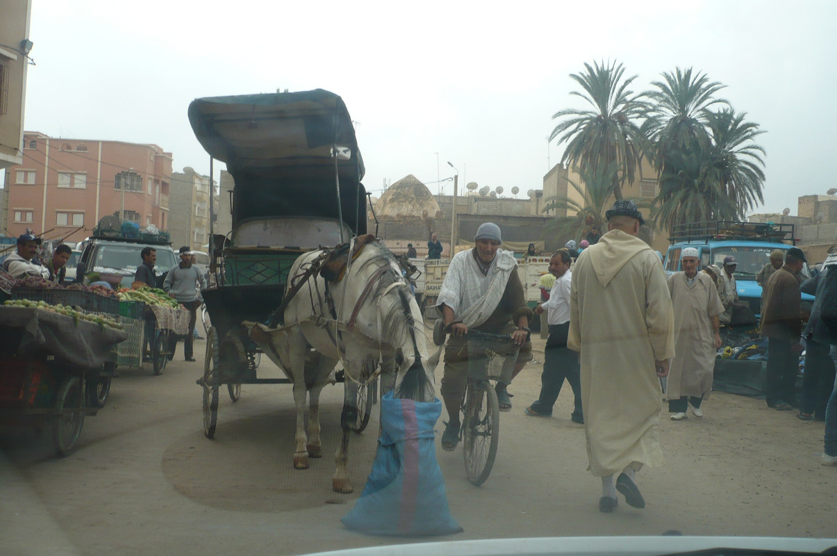 Taroudant, Ciudad-Marruecos (15)