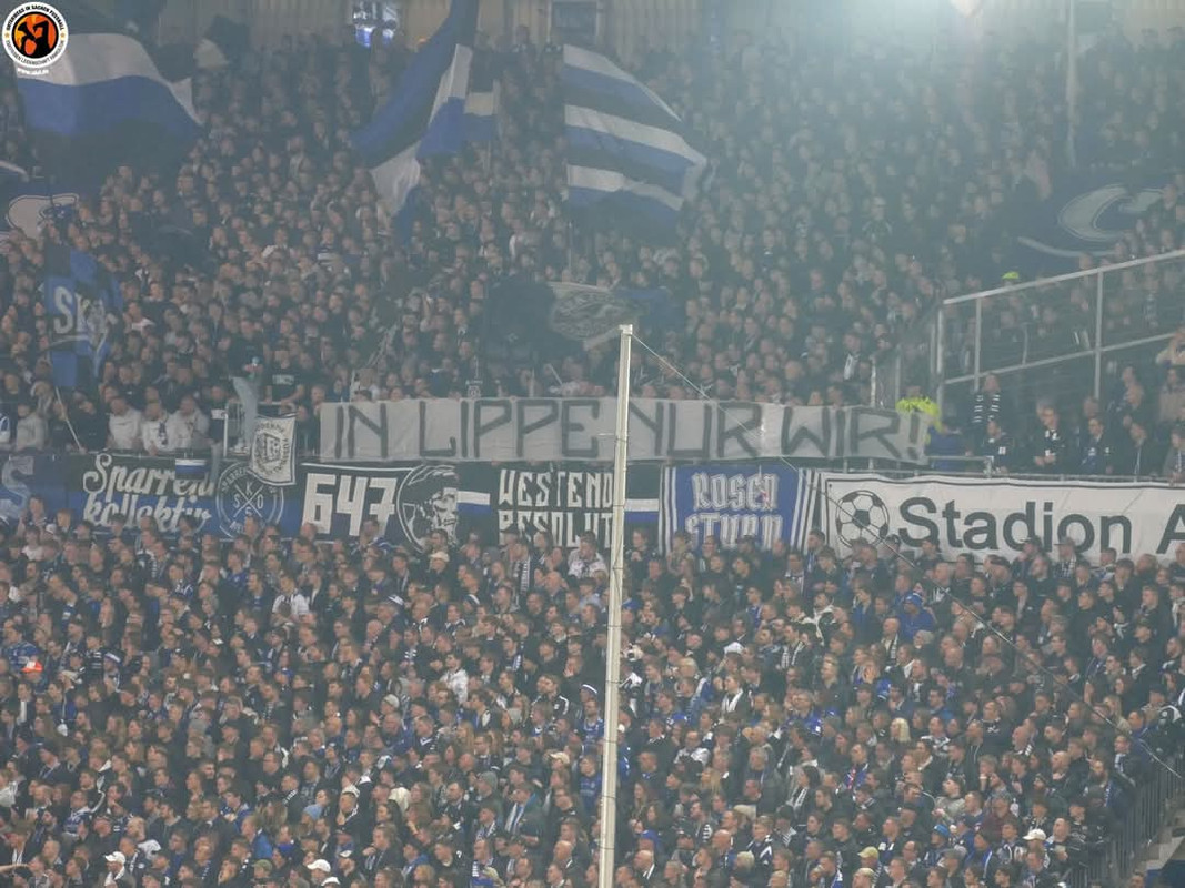 FB_IMG_1740568722806