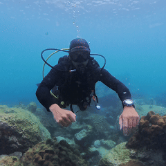 Underwater hand signal Problem