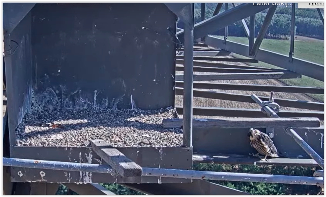 Screen Shot 08-10-22 at 09.30 AM