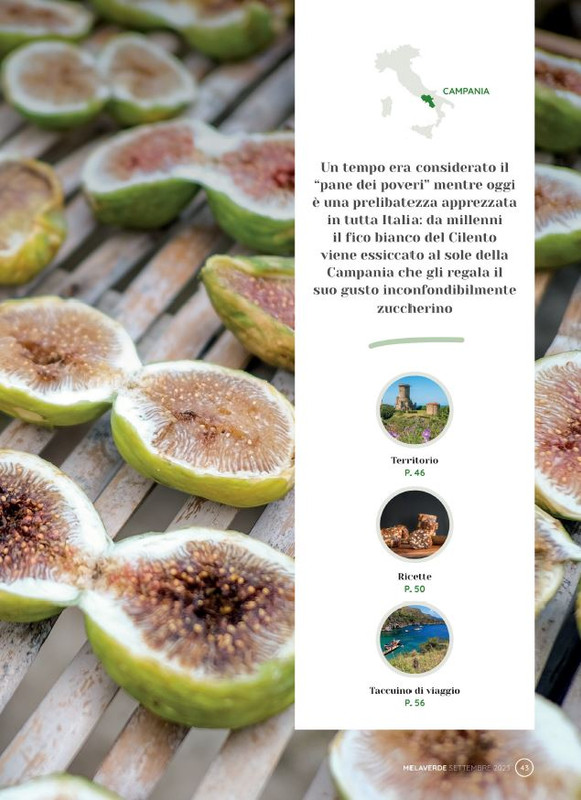 melaverde Set 2023 (4)