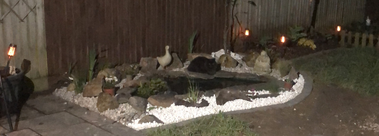 121D8137-8414-48E1-A467-AD9C4E935EFC