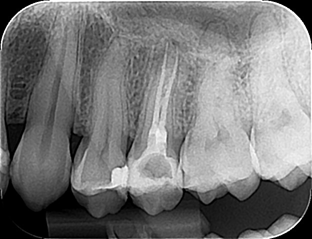 Brandis_Jelena_19082022_143102