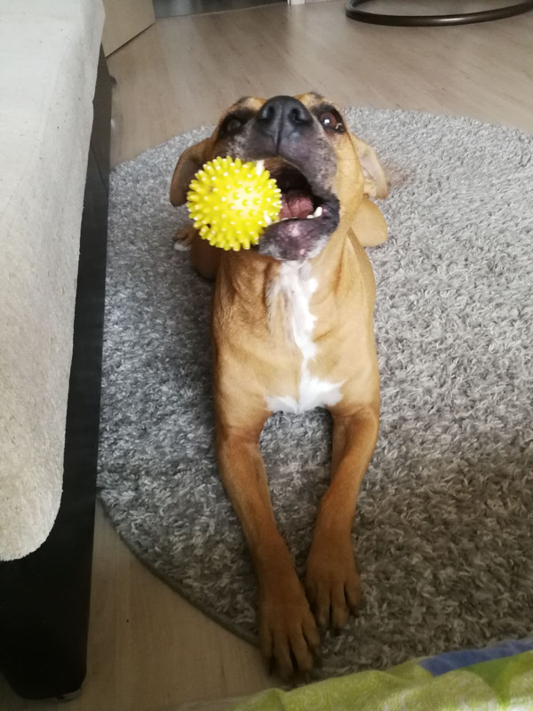 353E83CB-B135-4EEE-A9AB-6D20B5EF5109