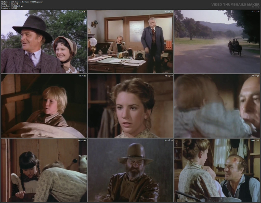 Little House on the Prairie S09E04 Rage.mkv