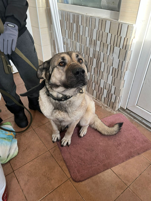 WhatsApp Image 2024-01-03 at 14.03.51 (2)