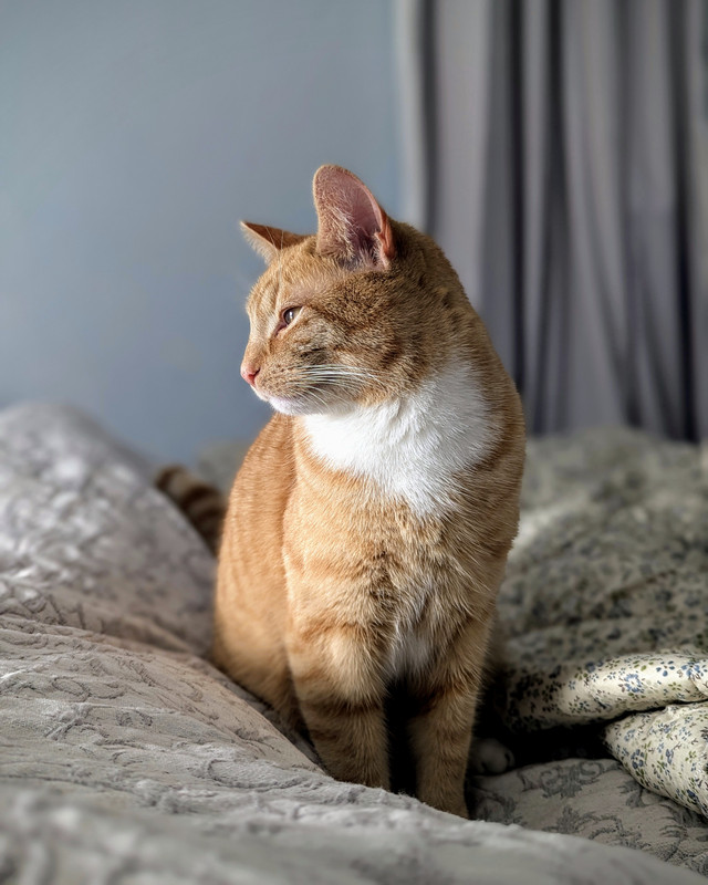 PXL_20250222_111858213.PORTRAIT~2