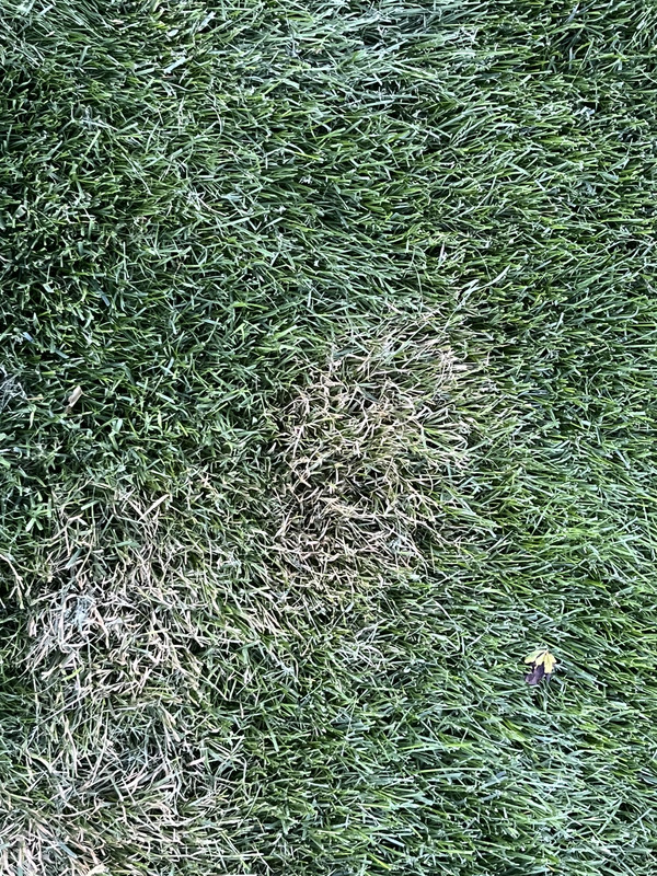 631E8832-1D6D-4C48-BFD2-5EB9B7A9EB6F