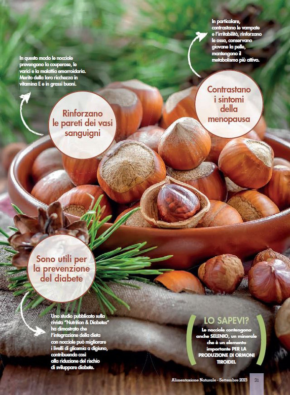 Alim Nat Set 2023 (6)