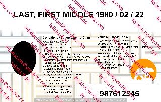 Canada - Northwest Territories (NT) Driving Licence Back_cleaned