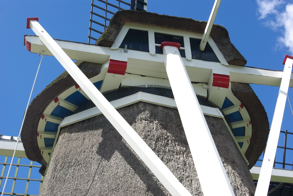 (01464a) De Mars - De Blesse 2