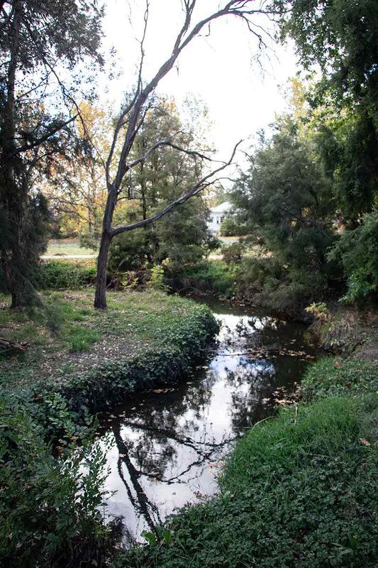 Blackmans Swamp Creek
