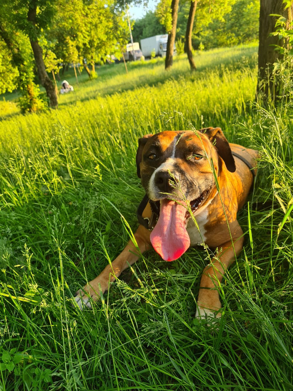 E41EB8AB-14B4-4A1E-A6C4-D9898472A054