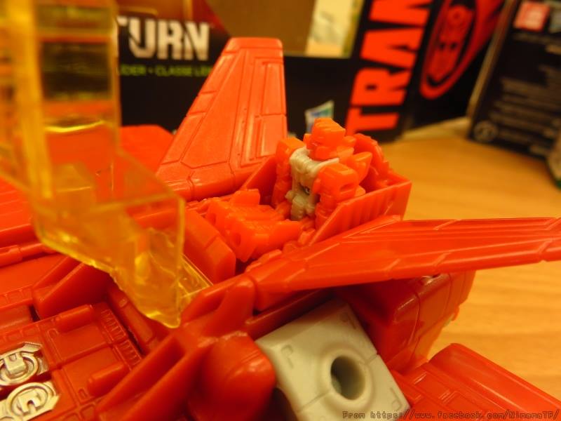 13332800_272539373096497_4676819308441182827_n