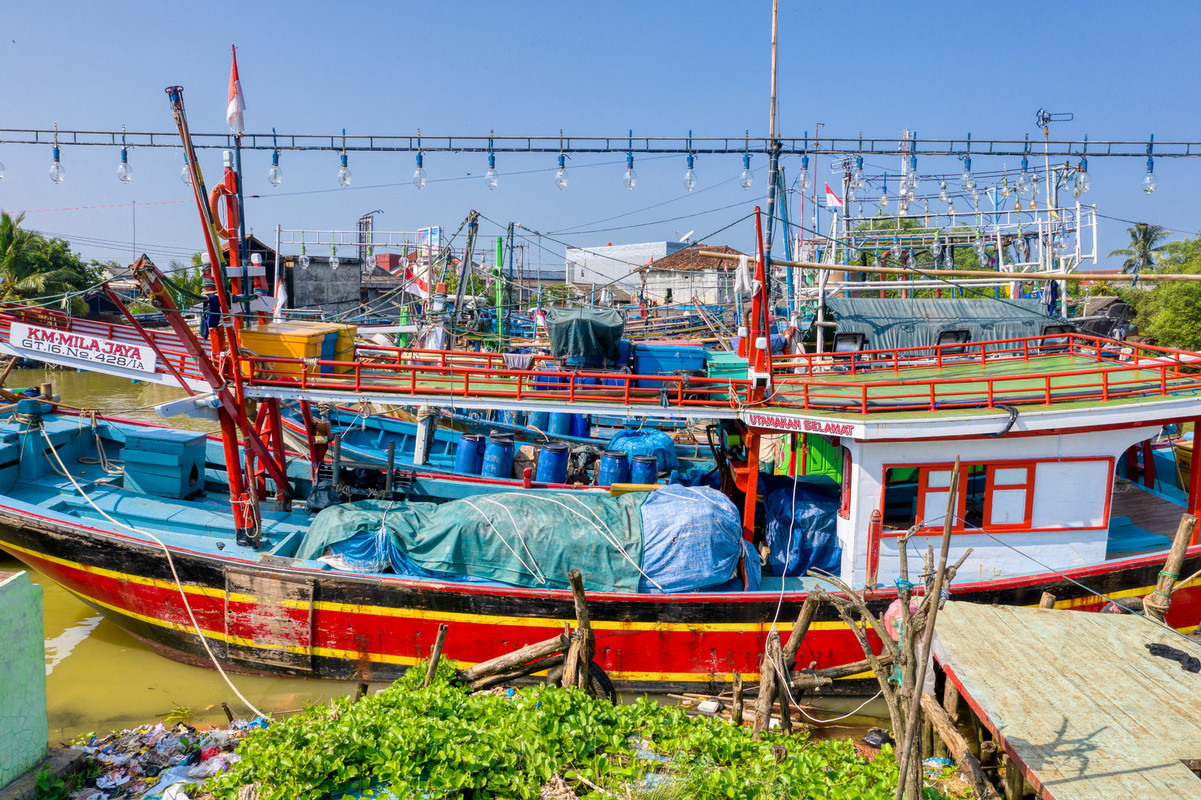 multimorredfishingboats.jpg