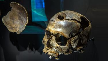 blutigesgold110-v-zweispaltig.jpg