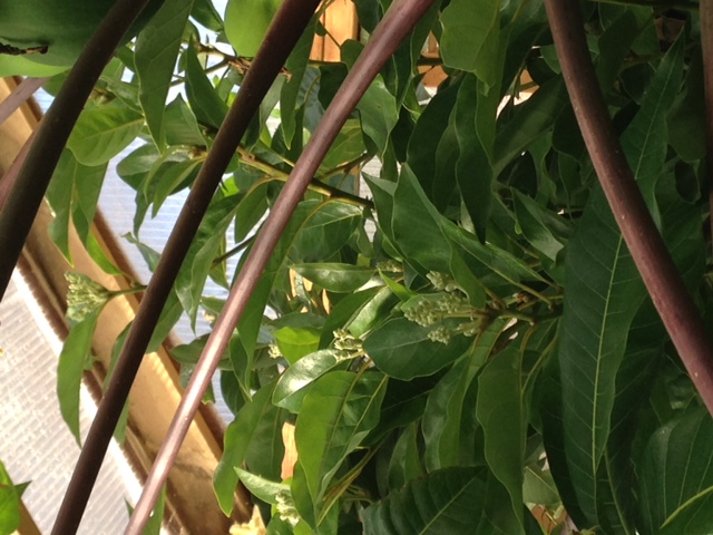 photo 1(14)