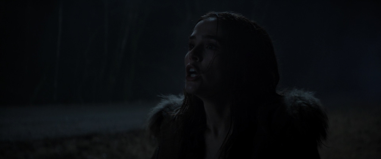 Before I Fall 2017 (1080p x265 10bit Tigole).mkv