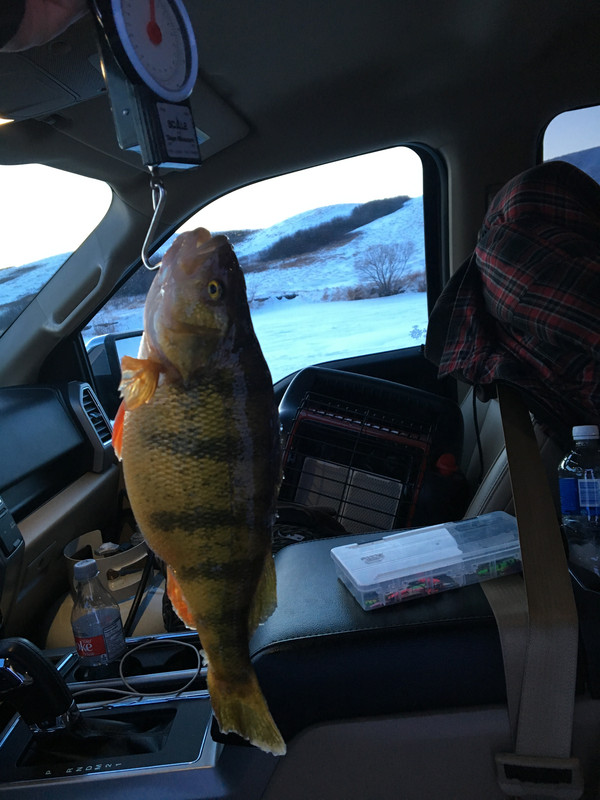 EDAF9D2B-79FA-43A9-B86C-340A169772D4